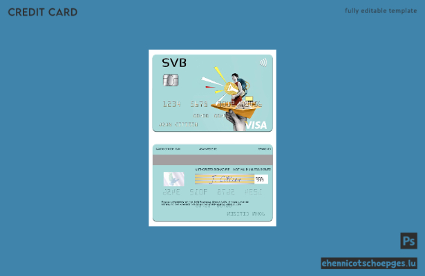 USA SVB Financial Group Visa-Karte – Beispielvorschau